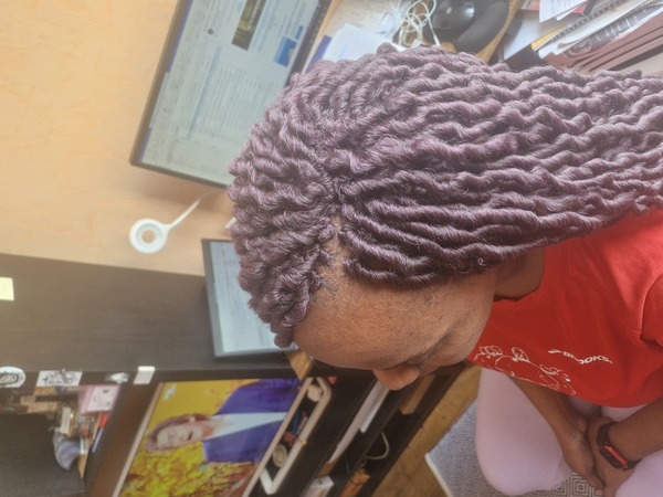 salon de coiffure afro tresse tresses box braids crochet braids vanilles tissages paris 75 77 78 91 92 93 94 95 ZYQVSVCS