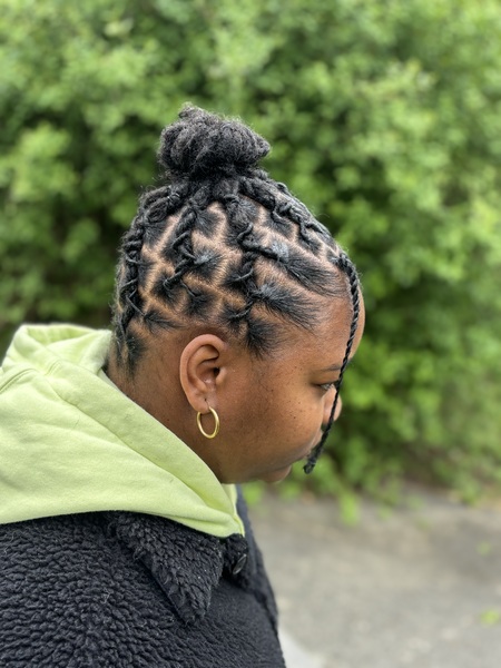 salon de coiffure afro tresse tresses box braids crochet braids vanilles tissages paris 75 77 78 91 92 93 94 95 YAKQKGUC