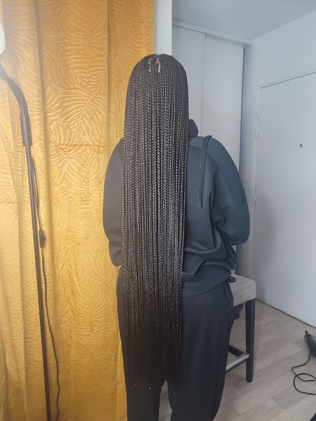 salon de coiffure afro tresse tresses box braids crochet braids vanilles tissages paris 75 77 78 91 92 93 94 95 ATLWDIIU