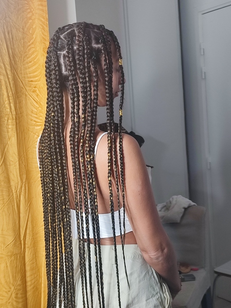 salon de coiffure afro tresse tresses box braids crochet braids vanilles tissages paris 75 77 78 91 92 93 94 95 XAHBPTRN