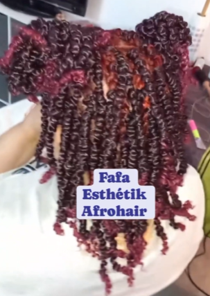 salon de coiffure afro tresse tresses box braids crochet braids vanilles tissages paris 75 77 78 91 92 93 94 95 SELYCOYK