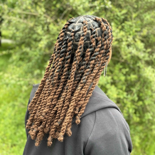 salon de coiffure afro tresse tresses box braids crochet braids vanilles tissages paris 75 77 78 91 92 93 94 95 RQLVKFRR