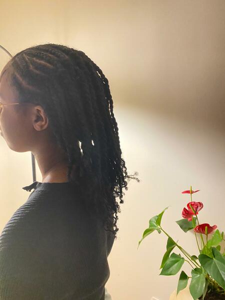 salon de coiffure afro tresse tresses box braids crochet braids vanilles tissages paris 75 77 78 91 92 93 94 95 PXAQVEXL
