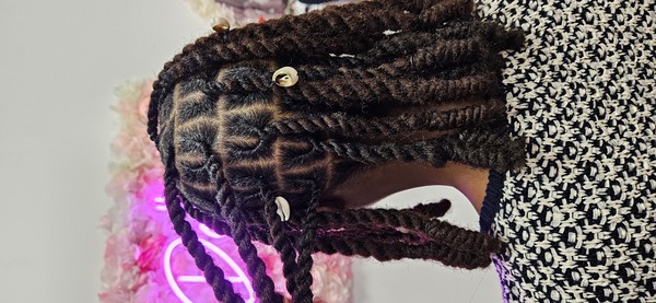 salon de coiffure afro tresse tresses box braids crochet braids vanilles tissages paris 75 77 78 91 92 93 94 95 DGHNOGGV