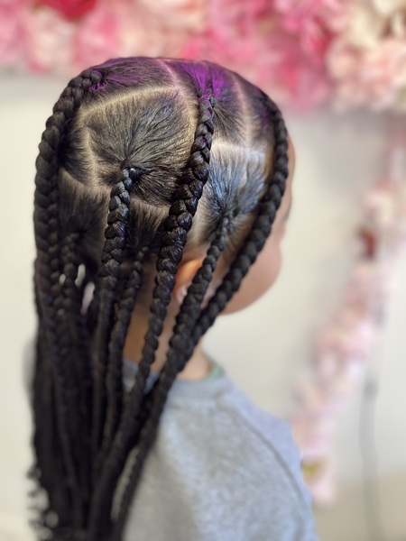 salon de coiffure afro tresse tresses box braids crochet braids vanilles tissages paris 75 77 78 91 92 93 94 95 PUVDIDBU