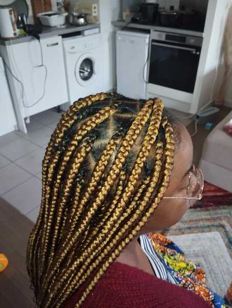 salon de coiffure afro tresse tresses box braids crochet braids vanilles tissages paris 75 77 78 91 92 93 94 95 RDTJMWNB