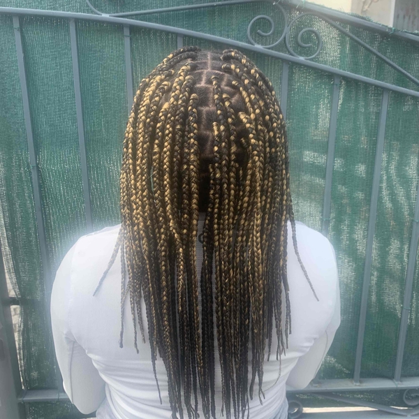 salon de coiffure afro tresse tresses box braids crochet braids vanilles tissages paris 75 77 78 91 92 93 94 95 YBPUTFHG
