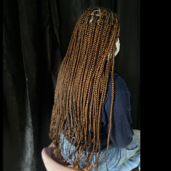 salon de coiffure afro tresse tresses box braids crochet braids vanilles tissages paris 75 77 78 91 92 93 94 95 UNTLXHSQ