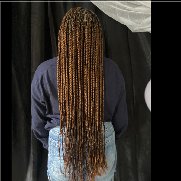 salon de coiffure afro tresse tresses box braids crochet braids vanilles tissages paris 75 77 78 91 92 93 94 95 VHEYIPFW