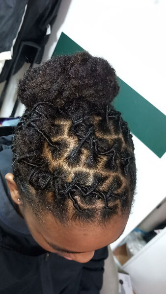 salon de coiffure afro tresse tresses box braids crochet braids vanilles tissages paris 75 77 78 91 92 93 94 95 DFYEVJYB