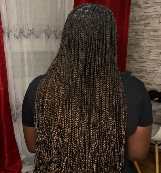 salon de coiffure afro tresse tresses box braids crochet braids vanilles tissages paris 75 77 78 91 92 93 94 95 BVBWIOMX