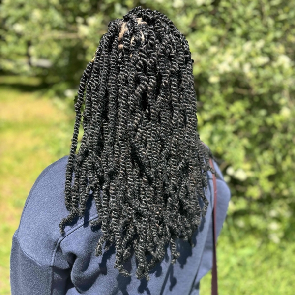 salon de coiffure afro tresse tresses box braids crochet braids vanilles tissages paris 75 77 78 91 92 93 94 95 JVJGUYPG