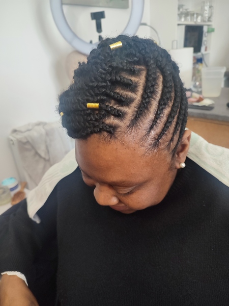 salon de coiffure afro tresse tresses box braids crochet braids vanilles tissages paris 75 77 78 91 92 93 94 95 QCPOAHUG