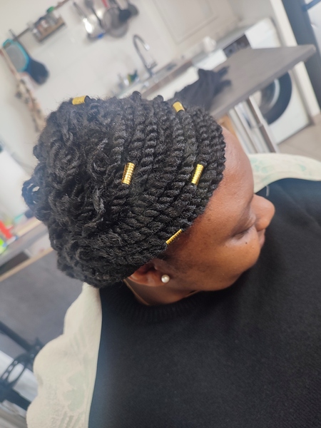 salon de coiffure afro tresse tresses box braids crochet braids vanilles tissages paris 75 77 78 91 92 93 94 95 EMLWRXXI