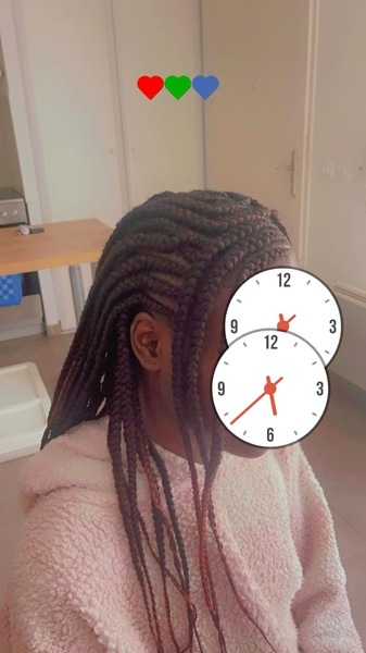 salon de coiffure afro tresse tresses box braids crochet braids vanilles tissages paris 75 77 78 91 92 93 94 95 BZEOEIIP