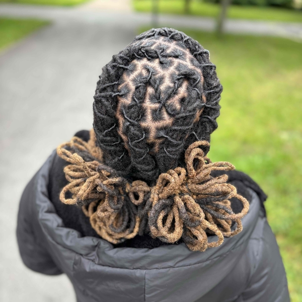 salon de coiffure afro tresse tresses box braids crochet braids vanilles tissages paris 75 77 78 91 92 93 94 95 YIHJJOBX