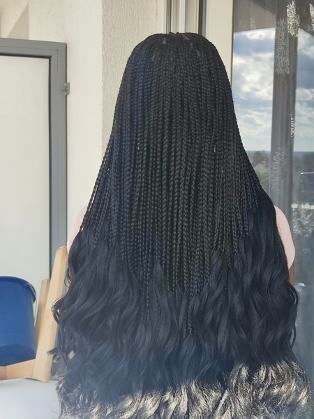 salon de coiffure afro tresse tresses box braids crochet braids vanilles tissages paris 75 77 78 91 92 93 94 95 WUHOTLAI