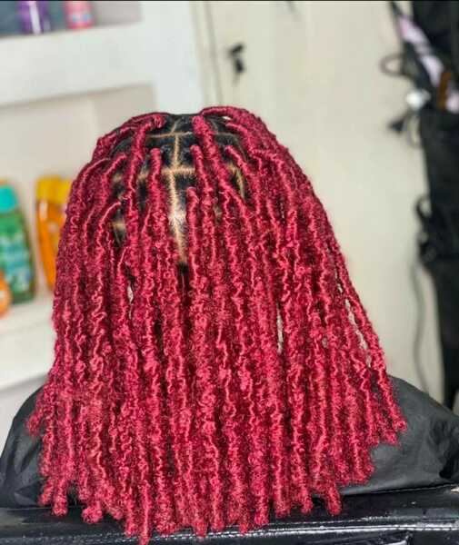 salon de coiffure afro tresse tresses box braids crochet braids vanilles tissages paris 75 77 78 91 92 93 94 95 OLDWRRHR