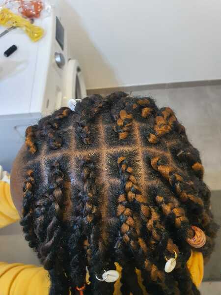 salon de coiffure afro tresse tresses box braids crochet braids vanilles tissages paris 75 77 78 91 92 93 94 95 HXHNHGMZ