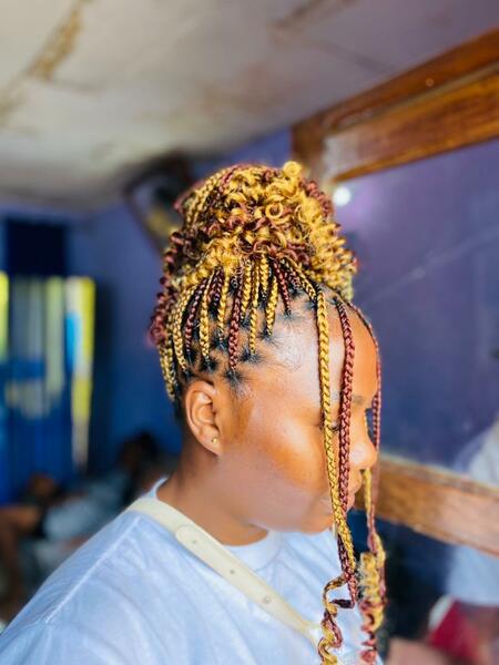 salon de coiffure afro tresse tresses box braids crochet braids vanilles tissages paris 75 77 78 91 92 93 94 95 EQRIXQUB