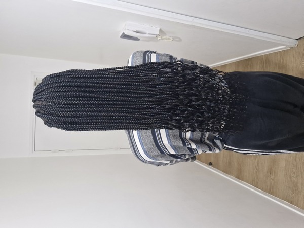 salon de coiffure afro tresse tresses box braids crochet braids vanilles tissages paris 75 77 78 91 92 93 94 95 NNAHROHJ