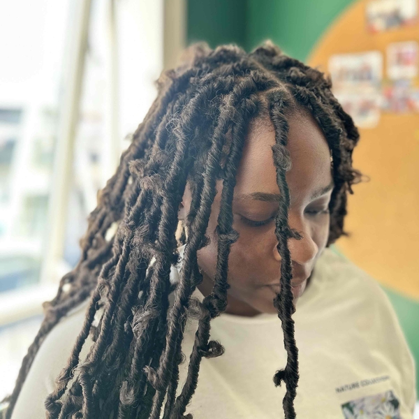 salon de coiffure afro tresse tresses box braids crochet braids vanilles tissages paris 75 77 78 91 92 93 94 95 XACSIPCU