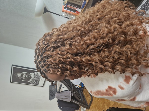 salon de coiffure afro tresse tresses box braids crochet braids vanilles tissages paris 75 77 78 91 92 93 94 95 CMBNKLPB