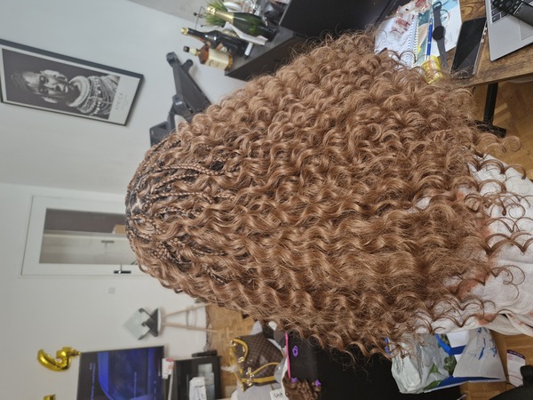 salon de coiffure afro tresse tresses box braids crochet braids vanilles tissages paris 75 77 78 91 92 93 94 95 LTYBPAGD