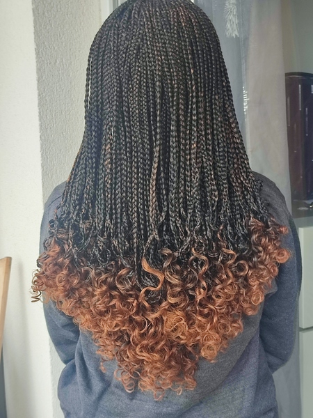 salon de coiffure afro tresse tresses box braids crochet braids vanilles tissages paris 75 77 78 91 92 93 94 95 LLHOUTKQ
