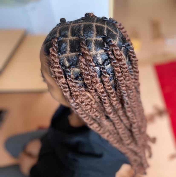 salon de coiffure afro tresse tresses box braids crochet braids vanilles tissages paris 75 77 78 91 92 93 94 95 XWOZYNME