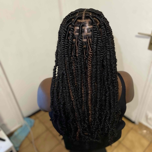 salon de coiffure afro tresse tresses box braids crochet braids vanilles tissages paris 75 77 78 91 92 93 94 95 LQORTKXW