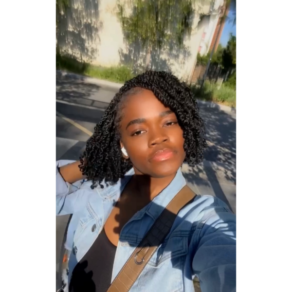 salon de coiffure afro tresse tresses box braids crochet braids vanilles tissages paris 75 77 78 91 92 93 94 95 JFVCNSGI
