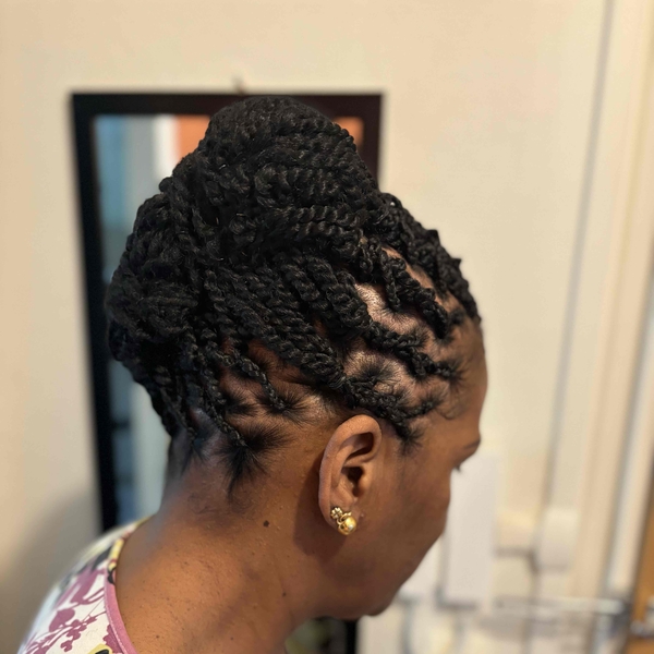 salon de coiffure afro tresse tresses box braids crochet braids vanilles tissages paris 75 77 78 91 92 93 94 95 PPNZJYWZ