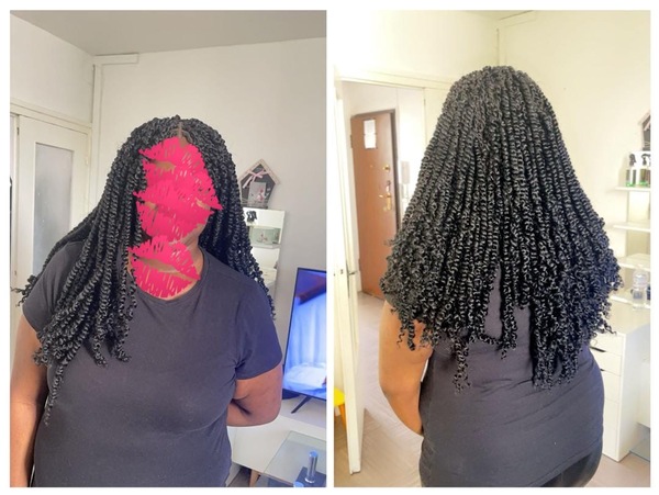 salon de coiffure afro tresse tresses box braids crochet braids vanilles tissages paris 75 77 78 91 92 93 94 95 WFRYBQBG