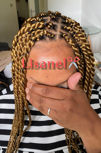 salon de coiffure afro tresse tresses box braids crochet braids vanilles tissages paris 75 77 78 91 92 93 94 95 QOVUCPFQ