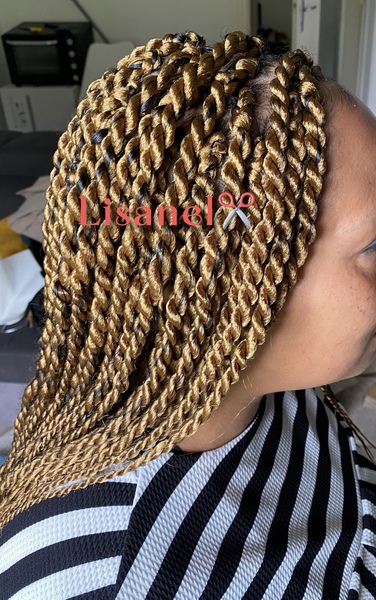 salon de coiffure afro tresse tresses box braids crochet braids vanilles tissages paris 75 77 78 91 92 93 94 95 YWYXOXOB