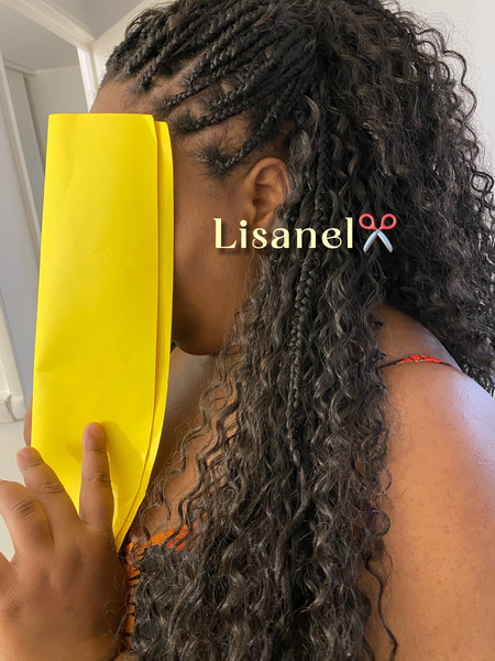 salon de coiffure afro tresse tresses box braids crochet braids vanilles tissages paris 75 77 78 91 92 93 94 95 AFQHMDLB