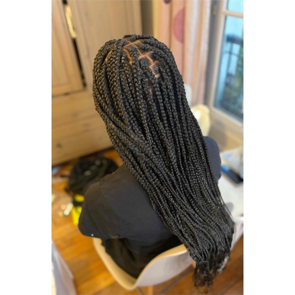 salon de coiffure afro tresse tresses box braids crochet braids vanilles tissages paris 75 77 78 91 92 93 94 95 EKQOCHDR