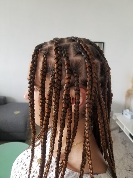 salon de coiffure afro tresse tresses box braids crochet braids vanilles tissages paris 75 77 78 91 92 93 94 95 WQSHQRTO