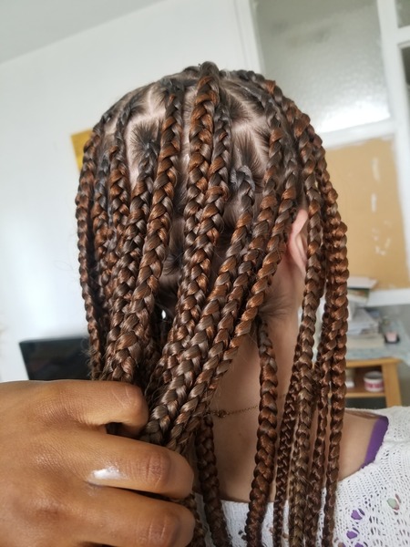 salon de coiffure afro tresse tresses box braids crochet braids vanilles tissages paris 75 77 78 91 92 93 94 95 TCBRKNMA
