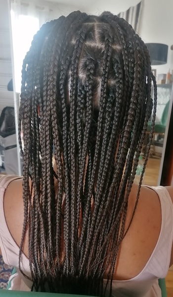 salon de coiffure afro tresse tresses box braids crochet braids vanilles tissages paris 75 77 78 91 92 93 94 95 CZECZNZD