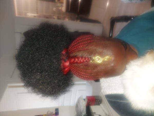 salon de coiffure afro tresse tresses box braids crochet braids vanilles tissages paris 75 77 78 91 92 93 94 95 BNFWYUTB