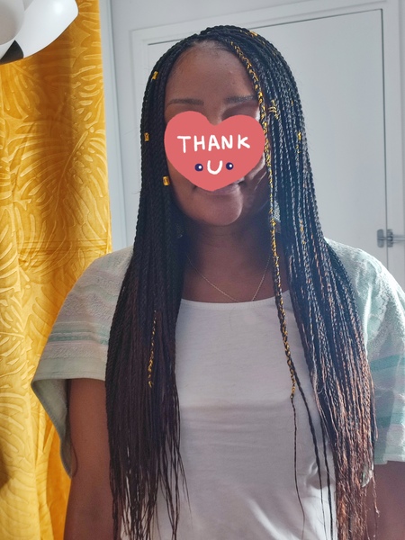 salon de coiffure afro tresse tresses box braids crochet braids vanilles tissages paris 75 77 78 91 92 93 94 95 DGRONIVS
