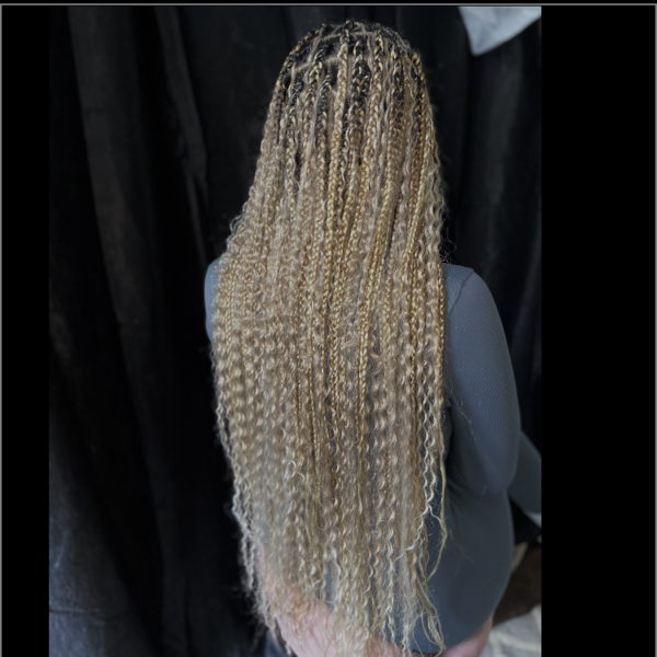 salon de coiffure afro tresse tresses box braids crochet braids vanilles tissages paris 75 77 78 91 92 93 94 95 OSRRSRGP