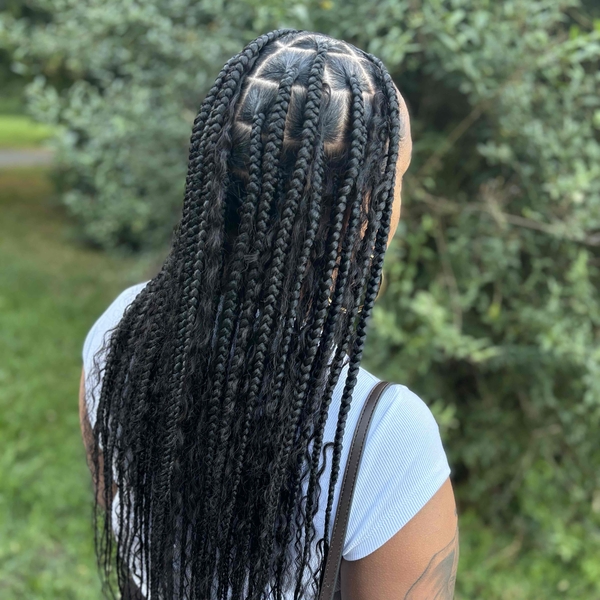 salon de coiffure afro tresse tresses box braids crochet braids vanilles tissages paris 75 77 78 91 92 93 94 95 FSFYQMEE