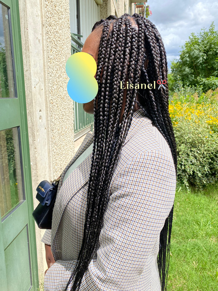 salon de coiffure afro tresse tresses box braids crochet braids vanilles tissages paris 75 77 78 91 92 93 94 95 BXFWRNQE
