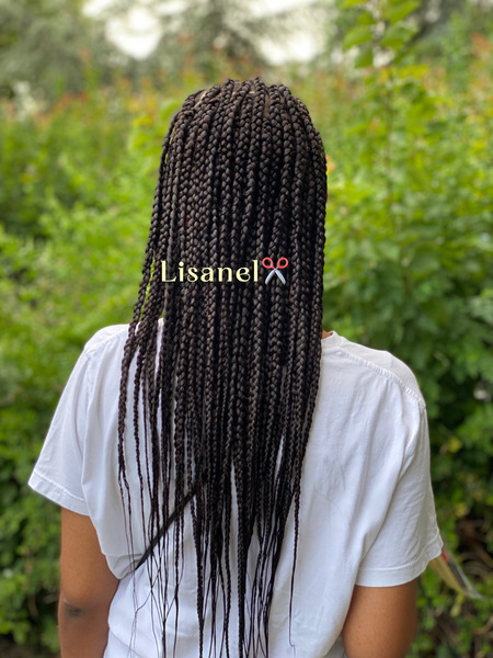 salon de coiffure afro tresse tresses box braids crochet braids vanilles tissages paris 75 77 78 91 92 93 94 95 ZTBWOICR
