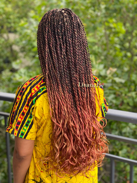 salon de coiffure afro tresse tresses box braids crochet braids vanilles tissages paris 75 77 78 91 92 93 94 95 TGTDYPNG