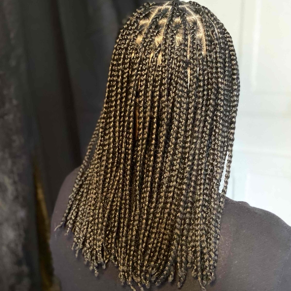 salon de coiffure afro tresse tresses box braids crochet braids vanilles tissages paris 75 77 78 91 92 93 94 95 FTVOJLZO