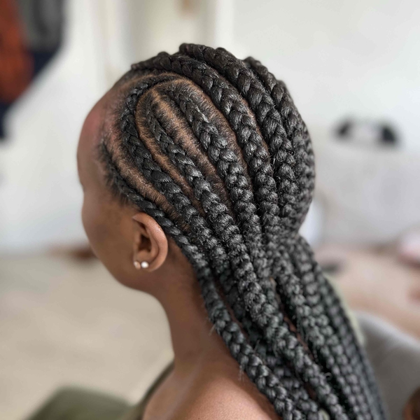 salon de coiffure afro tresse tresses box braids crochet braids vanilles tissages paris 75 77 78 91 92 93 94 95 PZFXMCYQ